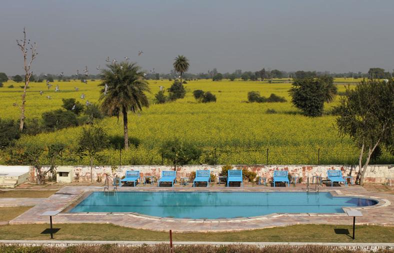 بهاراتبور Kadamb Kunj Resort المظهر الخارجي الصورة